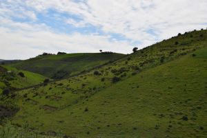 Route Sidi Bettache - Photo 26