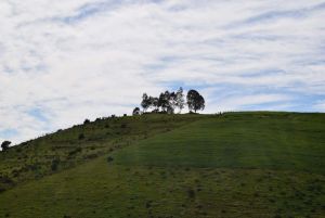 Route Sidi Bettache - Photo 28