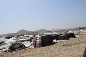 Les Salines du Gharb - Photo 3