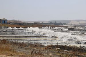 Les Salines du Gharb - Photo 4