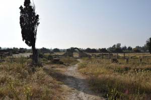 Site archéologique de Banasa - Photo 3