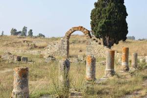 Site archéologique de Banasa