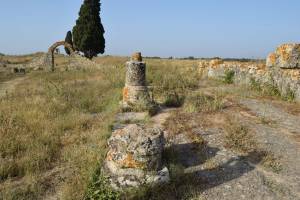 Site archéologique de Banasa - Photo 6