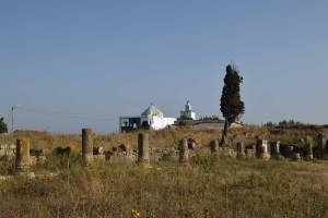 Site archéologique de Banasa - Photo 8