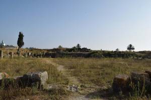Site archéologique de Banasa - Photo 9