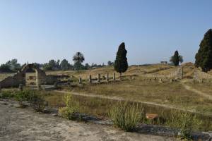 Site archéologique de Banasa - Photo 12