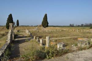 Site archéologique de Banasa - Photo 15