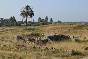 Site archéologique de Banasa - Photo 16