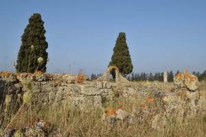 Site archéologique de Banasa - Photo 18