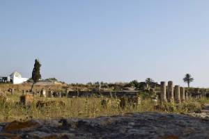 Site archéologique de Banasa - Photo 20