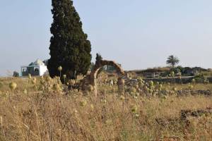 Site archéologique de Banasa - Photo 23