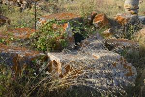 Site archéologique de Banasa - Photo 25