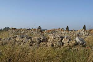 Site archéologique de Banasa - Photo 26