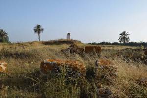 Site archéologique de Banasa - Photo 27