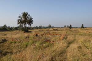 Site archéologique de Banasa - Photo 31