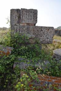 Site archéologique de Banasa - Photo 33