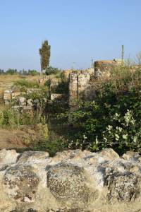 Site archéologique de Banasa - Photo 34