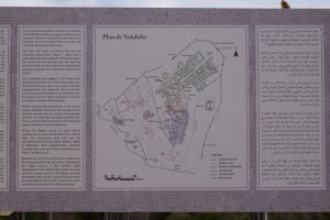 Site archéologique de Volubilis - Photo 0
