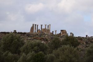 Site archéologique de Volubilis - Photo 1