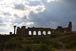 Site archéologique de Volubilis - Photo 8