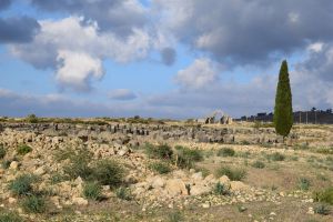 Site archéologique de Volubilis - Photo 9