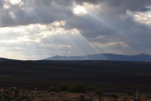 Site archéologique de Volubilis - Photo 15