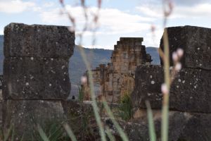 Site archéologique de Volubilis - Photo 17