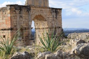 Site archéologique de Volubilis - Photo 18