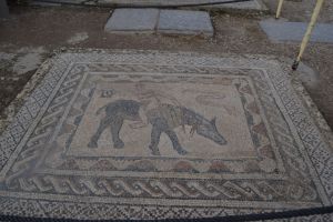 Site archéologique de Volubilis - Photo 21