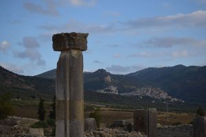 Site archéologique de Volubilis - Photo 24