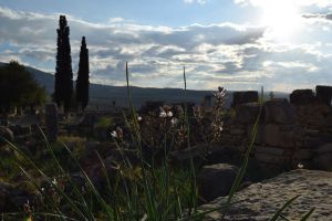 Site archéologique de Volubilis - Photo 30