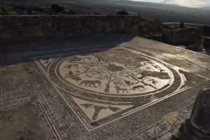 Site archéologique de Volubilis - Photo 35