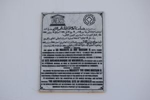 Site archéologique de Volubilis - Photo 41