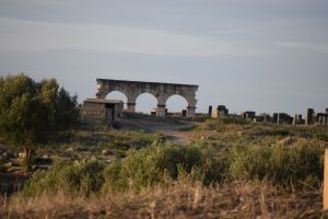 Site archéologique de Volubilis - Photo 44