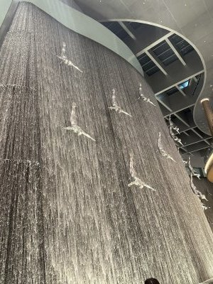 25.19546944444444,55.27929444444445