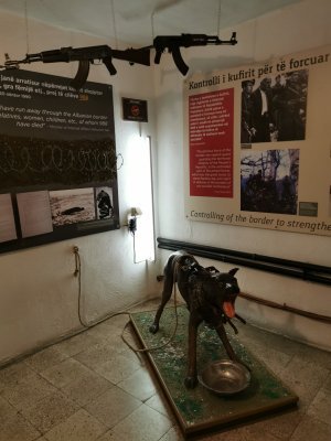 41.32661437972222,19.81940650916667