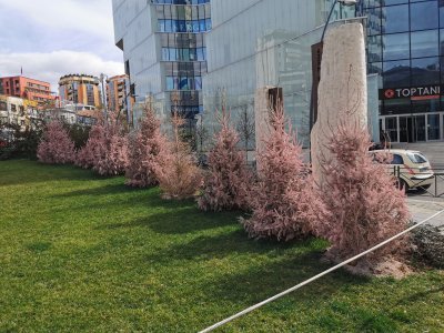 41.32748794555556,19.82200622555555