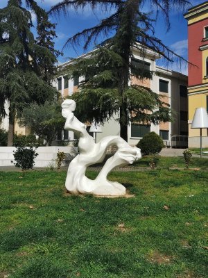 41.32565307611112,19.81701660138889