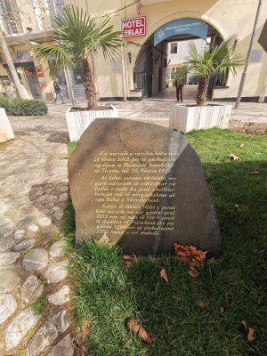 41.32646942111111,19.82496833777778