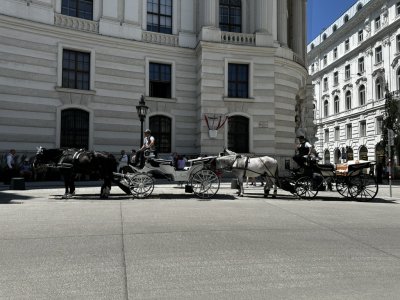 48.20800000000001,16.36633333333333