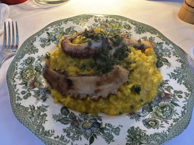 48.18301666666667,16.32854166666667