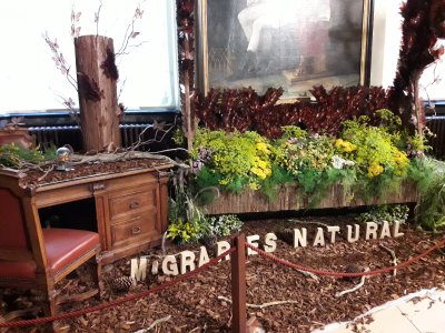 50.84666666666667,4.35138888888889