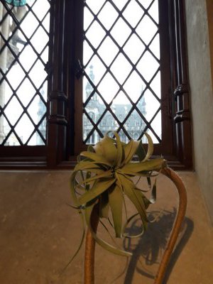 50.84666666666667,4.35222222222222