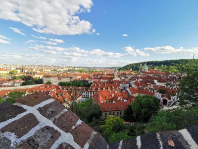 50.09154129027778,14.40575313555556