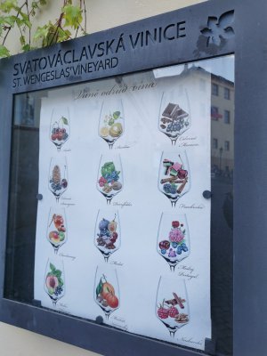 50.0918884275,14.40609264361111