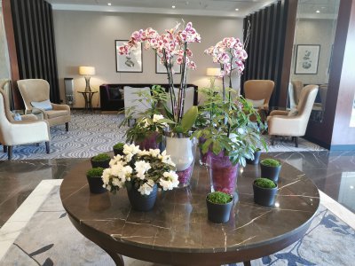 50.06285858138889,14.43179607388889