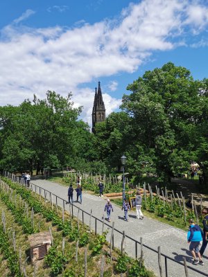 50.06523513777778,14.41438198083333