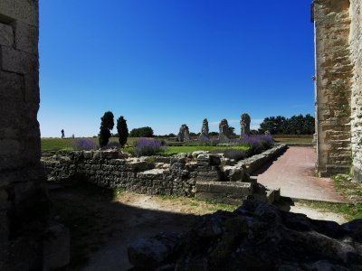 46.18569183333333,-1.29727399333333