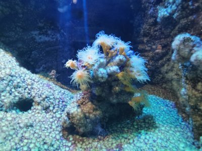 46.15301895138889,-1.15063762638889