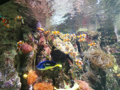 46.15306091305555,-1.15093922611111